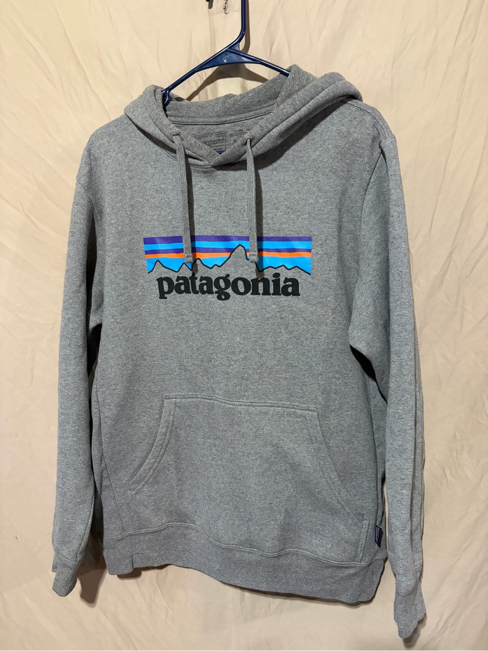 Patagonia sweatshirt